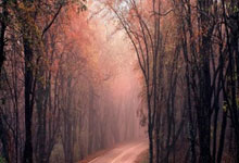 查找非遗旅游攻略的网站有哪些,非遗旅游景点有哪些