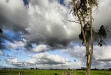 民宿合作经营模式,民宿合作经营怎么分红