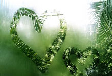 民宿好评回复暖心句子,100句高情商好评回复