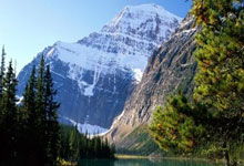 民宿好评回复暖心句子,100句高情商好评回复