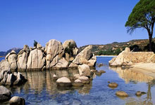 民宿好评回复暖心句子,100句高情商好评回复